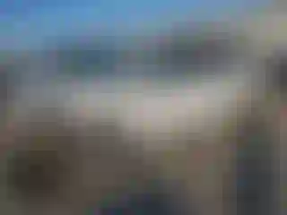 Vehicle Image- 2020 Dodge Caravan