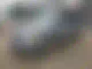 Vehicle Image- 2016 Dodge Caravan