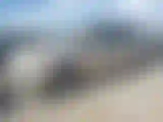 Vehicle Image- 2014 Dodge Caravan