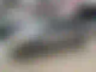 Vehicle Image- 2016 Dodge Caravan