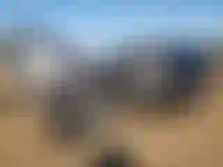 Vehicle Image- 2016 Dodge Caravan