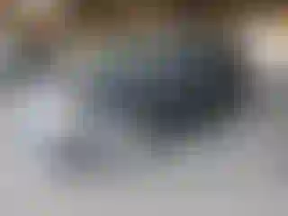 Vehicle Image- 2017 Dodge Caravan