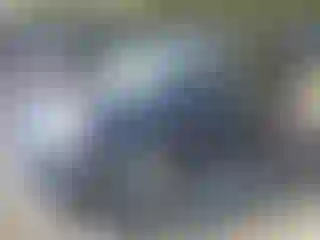 Vehicle Image- 2016 Dodge Caravan