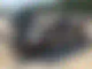 Vehicle Image- 2014 Dodge Caravan