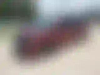 Vehicle Image- 2019 Dodge Caravan