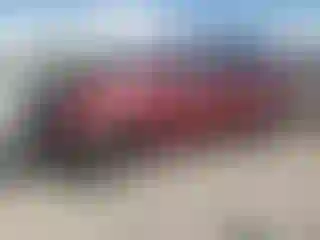 Vehicle Image- 2020 Dodge Caravan