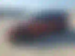 Vehicle Image- 2020 Dodge Caravan