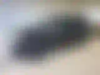 Vehicle Image- 2019 Dodge Caravan