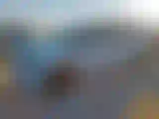 Vehicle Image- 2019 Dodge Caravan