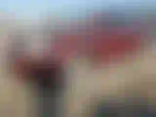 Vehicle Image- 2010 Chevrolet Equinox