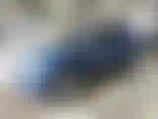 Vehicle Image- 2010 Chevrolet Equinox
