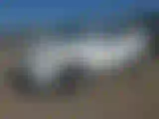 Vehicle Image- 2011 Chevrolet Equinox