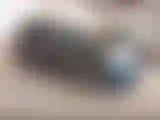 Vehicle Image- 2011 Chevrolet Equinox