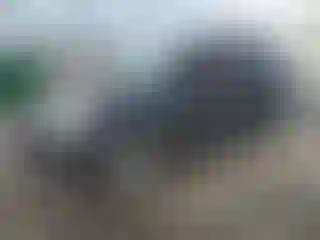 Vehicle Image- 2010 Chevrolet Equinox