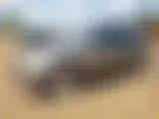 Vehicle Image- 2010 Chevrolet Equinox