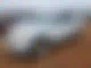 Vehicle Image- 2010 Chevrolet Equinox