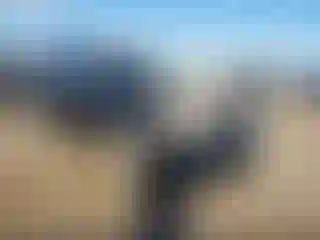 Vehicle Image- 2010 Chevrolet Equinox