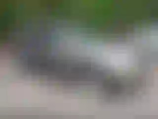 Vehicle Image- 2010 Chevrolet Equinox