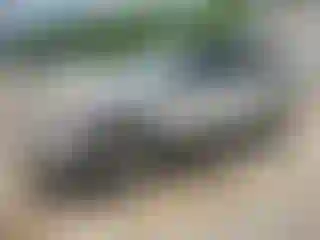 Vehicle Image- 2006 Chevrolet Equinox