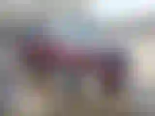 Vehicle Image- 2007 Chevrolet Equinox