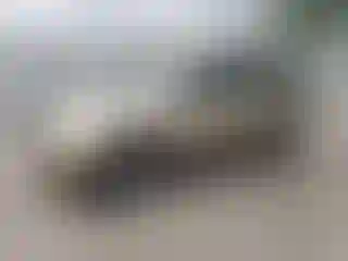Vehicle Image- 2007 Chevrolet Equinox