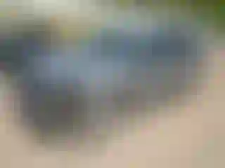 Vehicle Image- 2005 Chevrolet Equinox