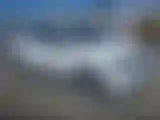 Vehicle Image- 2006 Chevrolet Equinox