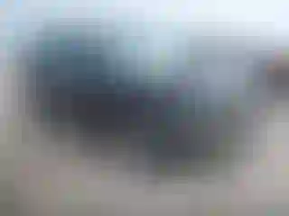 Vehicle Image- 2007 Chevrolet Equinox
