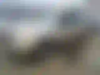 Vehicle Image- 2008 Chevrolet Equinox