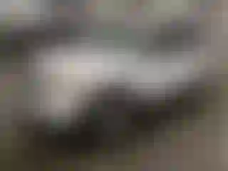 Vehicle Image- 2005 Chevrolet Equinox
