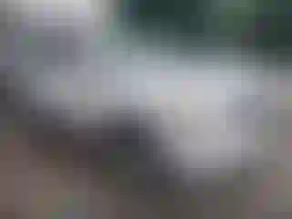 Vehicle Image- 2009 Chevrolet Equinox