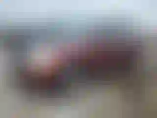 Vehicle Image- 2007 Chevrolet Equinox