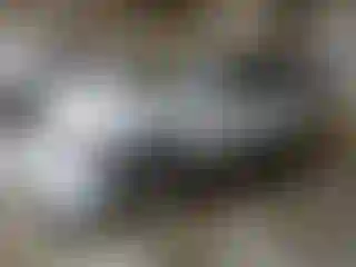 Vehicle Image- 2008 Chevrolet Equinox