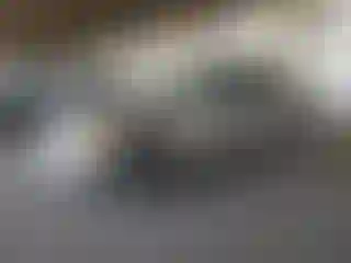 Vehicle Image- 2007 Chevrolet Equinox