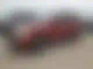 Vehicle Image- 2006 Chevrolet Equinox