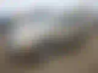 Vehicle Image- 2007 Chevrolet Equinox