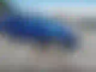 Vehicle Image- 2006 Chevrolet Equinox