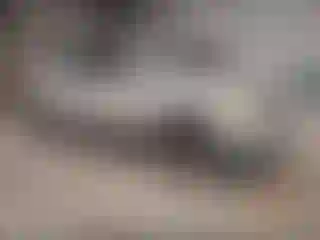 Vehicle Image- 2006 Chevrolet Equinox