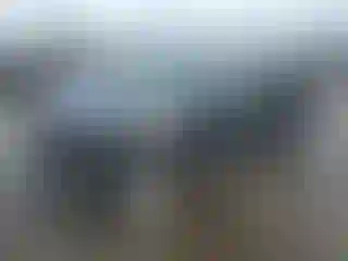 Vehicle Image- 2007 Chevrolet Equinox