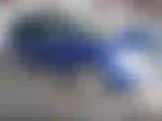 Vehicle Image- 2005 Chevrolet Equinox