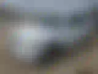 Vehicle Image- 2008 Chevrolet Equinox