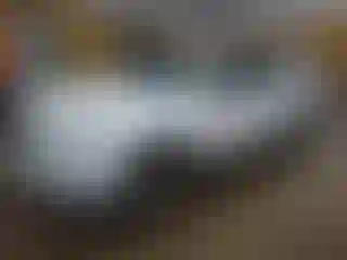 Vehicle Image- 2010 Chevrolet Equinox