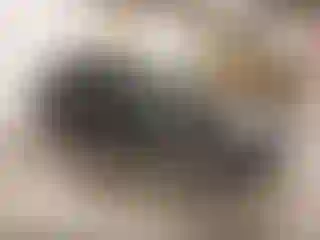 Vehicle Image- 2010 Chevrolet Equinox