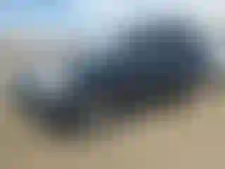 Vehicle Image- 2011 Chevrolet Equinox