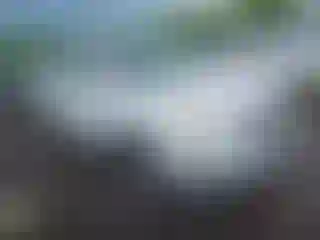 Vehicle Image- 2011 Chevrolet Equinox