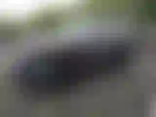 Vehicle Image- 2010 Chevrolet Equinox