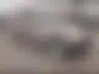 Vehicle Image- 2010 Chevrolet Equinox