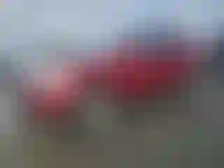 Vehicle Image- 2010 Chevrolet Equinox