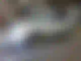 Vehicle Image- 2010 Chevrolet Equinox