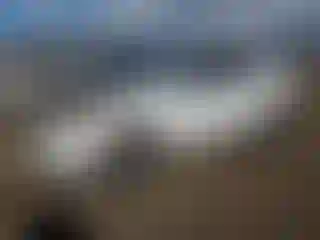 Vehicle Image- 2011 Chevrolet Equinox